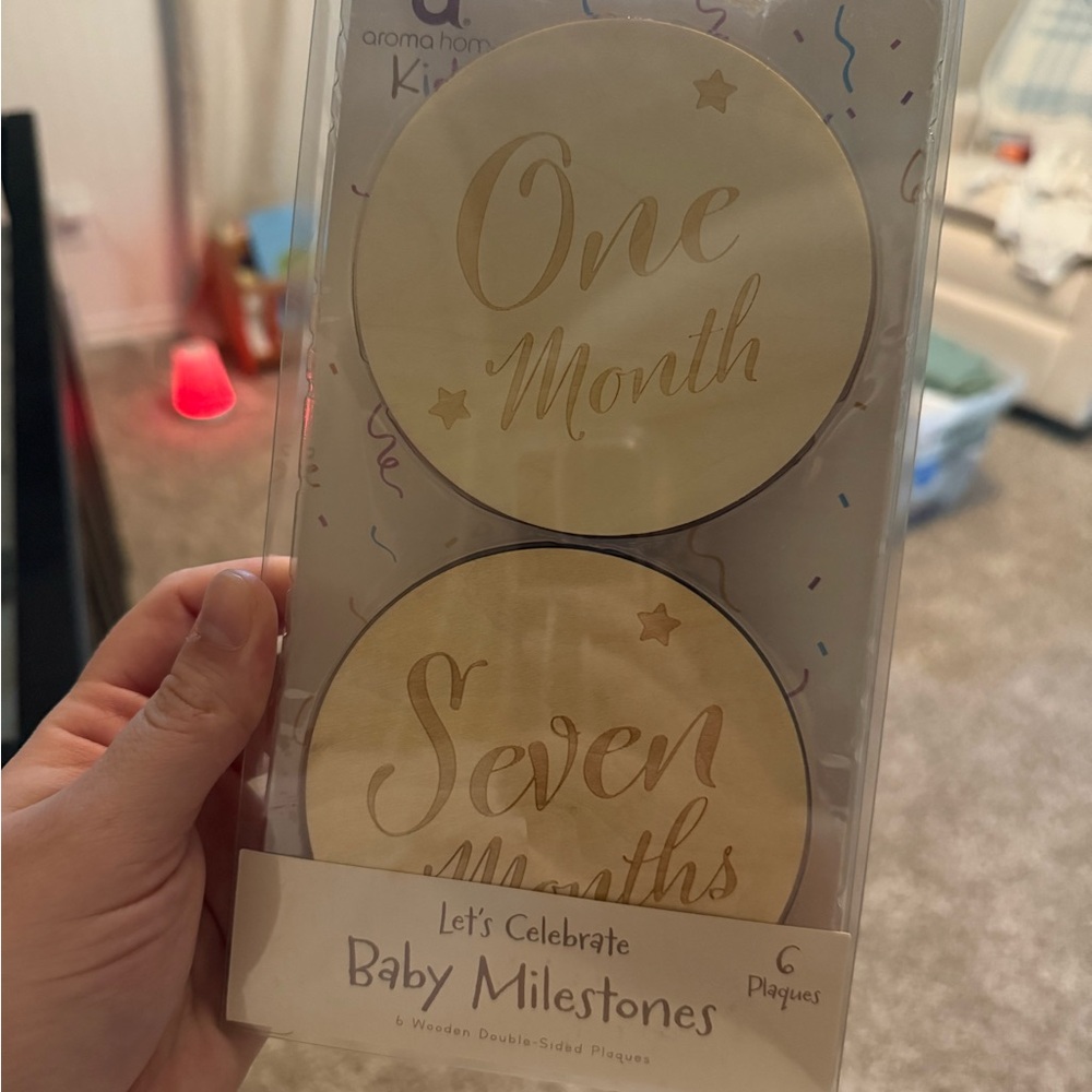 Baby Milestones Wooden Plaques